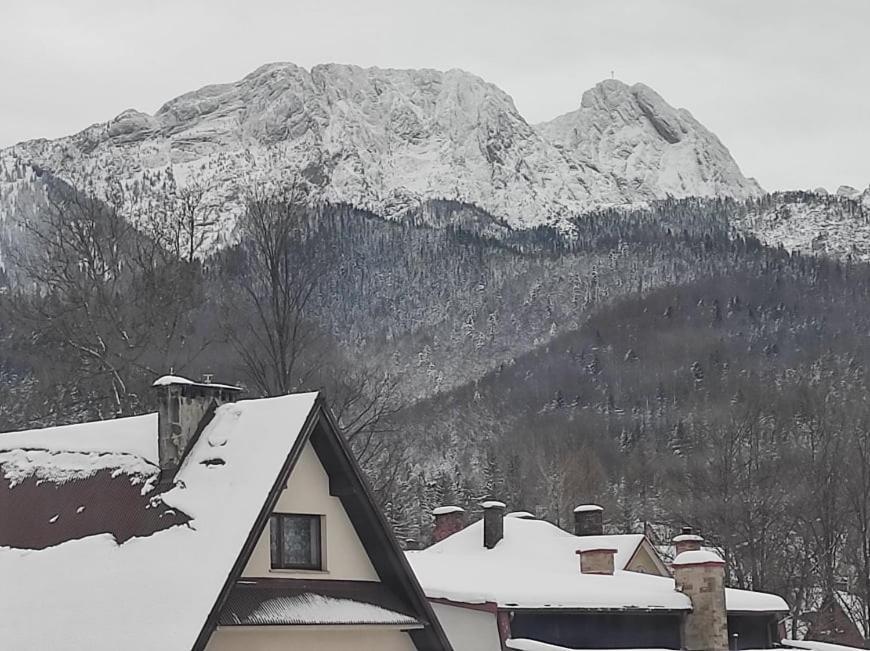 Arnika Wynajem Pokoi Apartment Zakopane Exterior photo