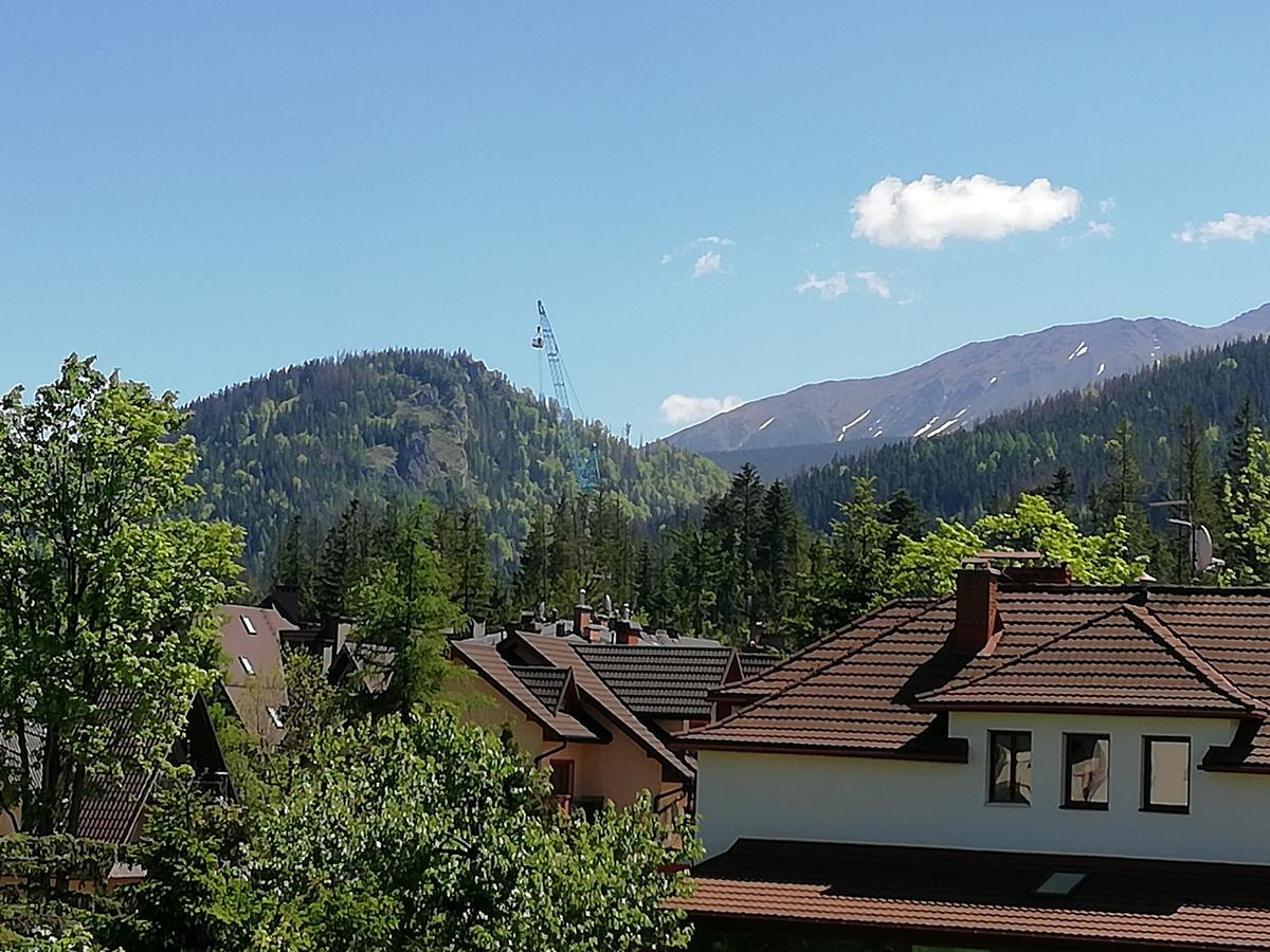 Arnika Wynajem Pokoi Apartment Zakopane Exterior photo
